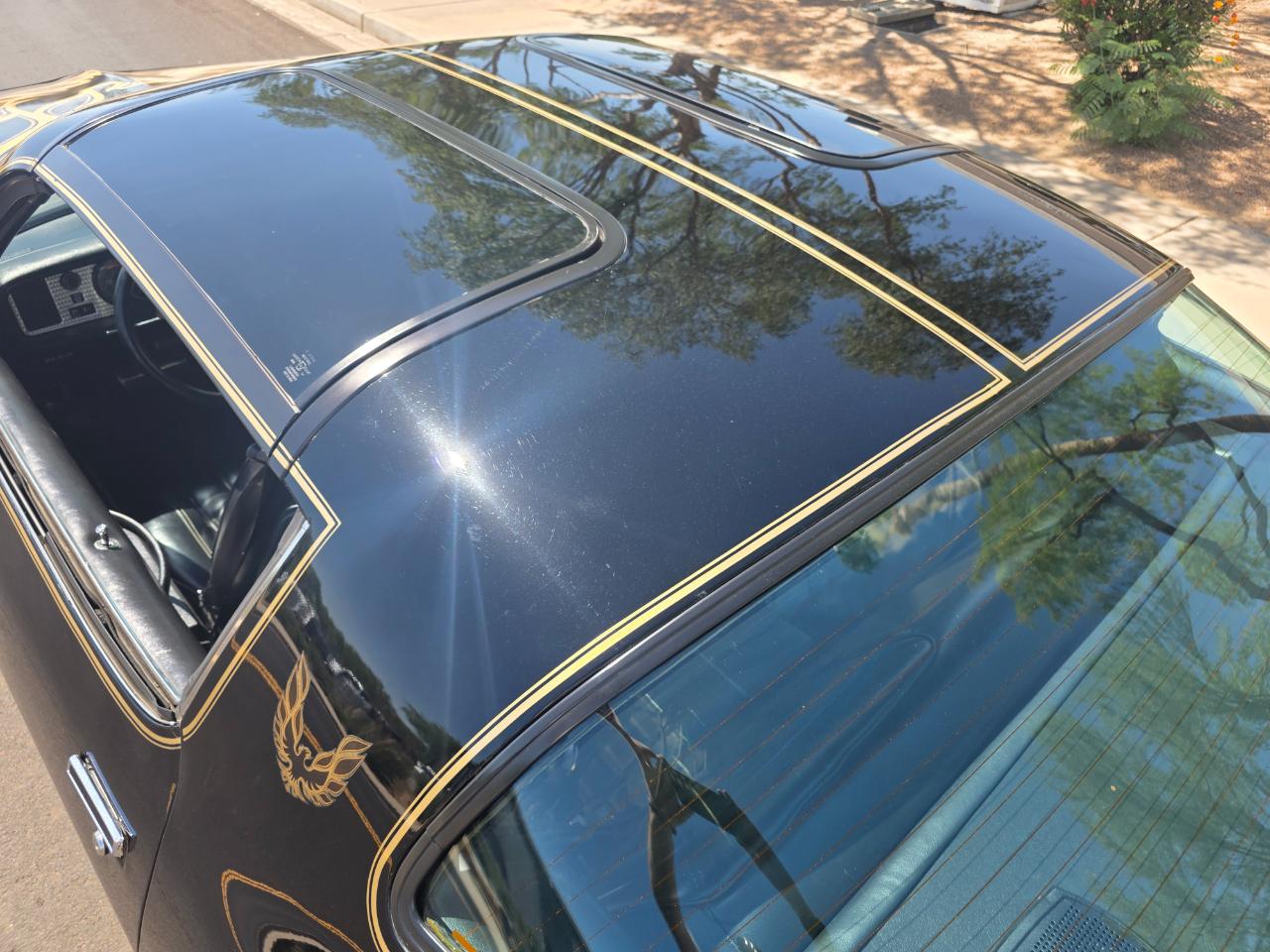 Pontiac Firebird Trans Am  1977