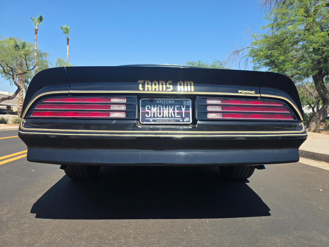 Pontiac Firebird Trans Am  1977