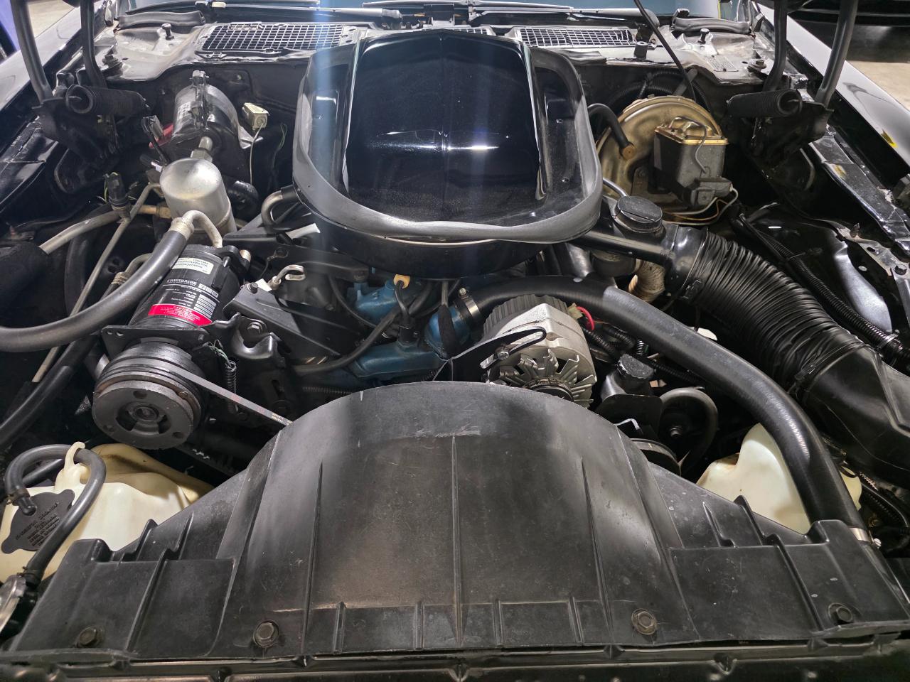 Pontiac Firebird Trans Am  1977