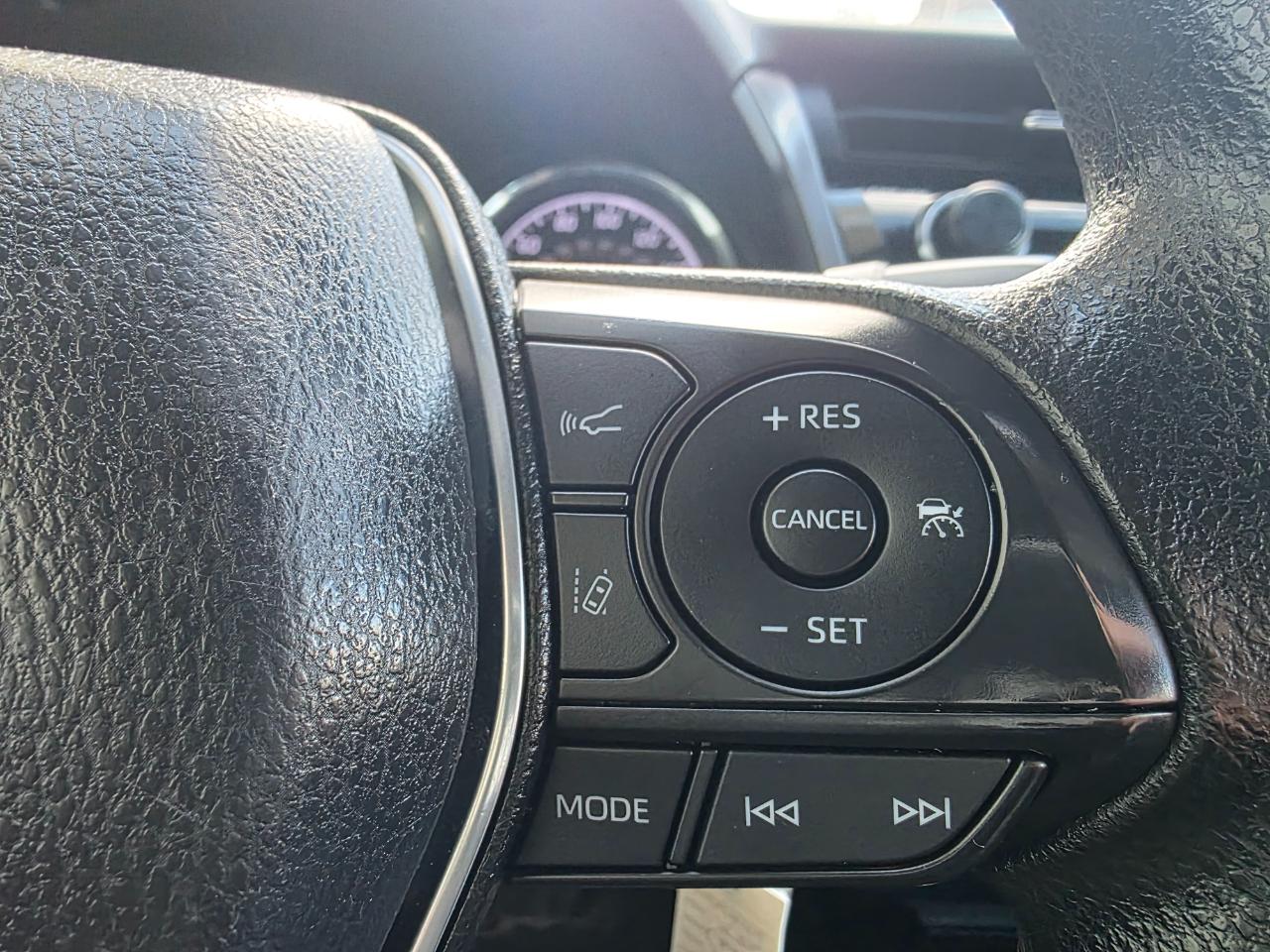 Toyota Camry XLE Auto (Natl) 2019