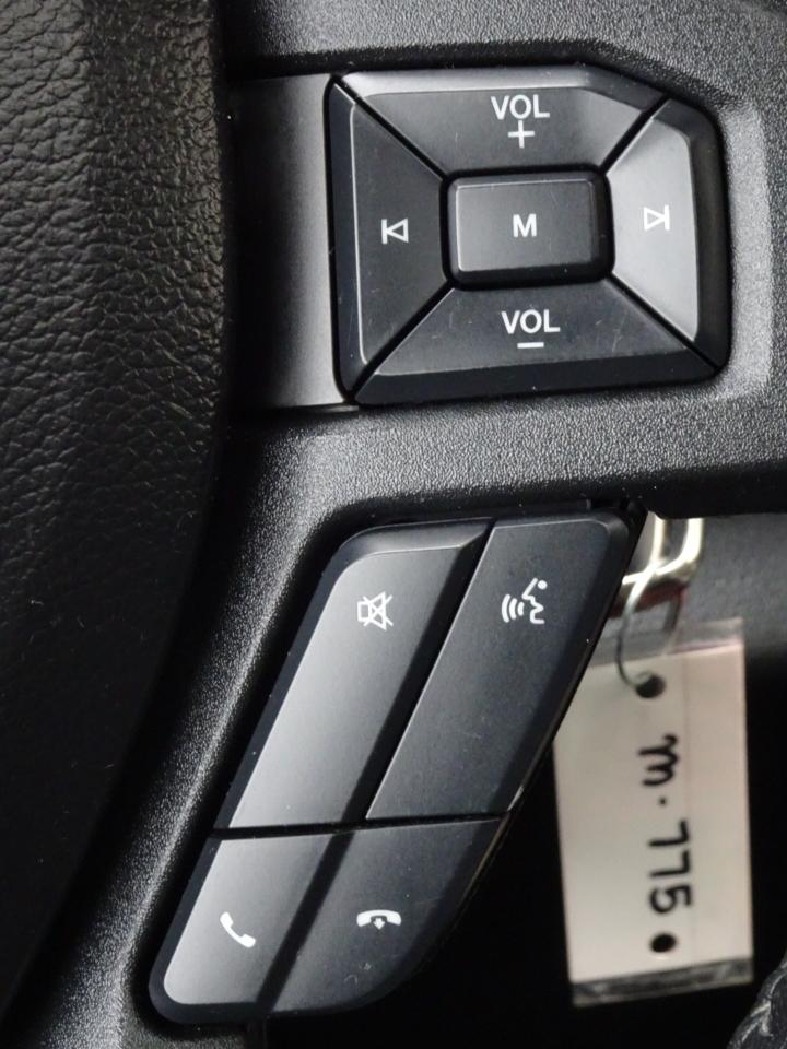 Ford F-150 4WD SuperCrew 157" FX4 2020