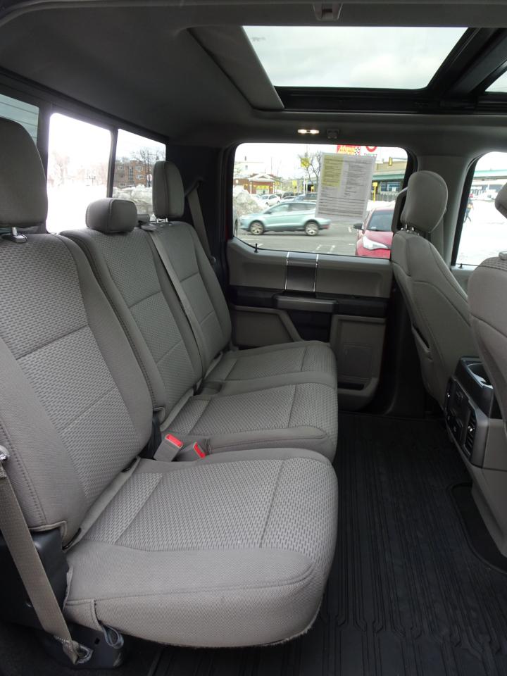 Ford F-150 4WD SuperCrew 139" XLT 2019