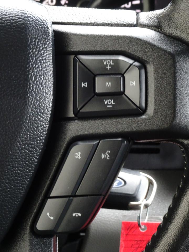 Ford F-150 4WD SuperCrew 139" XLT 2019