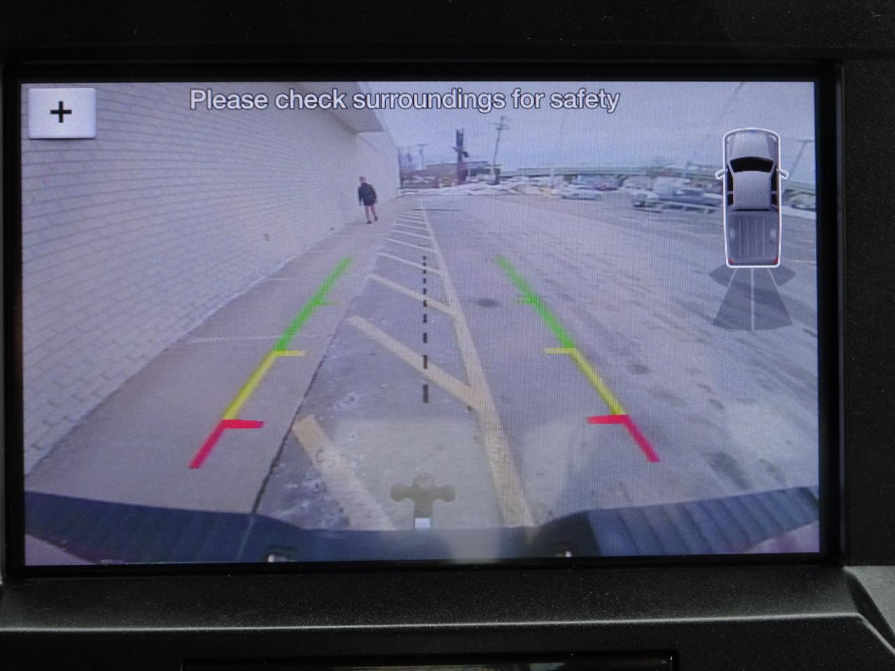 Ford F-150 4WD SuperCrew 139" XLT 2019