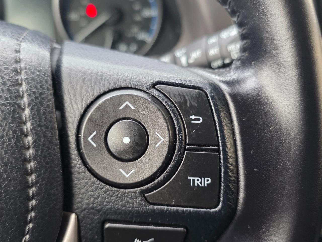 Toyota RAV4 XLE AWD (Natl) 2017