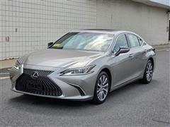 2019 Lexus ES 