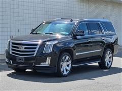 2019 Cadillac Escalade 