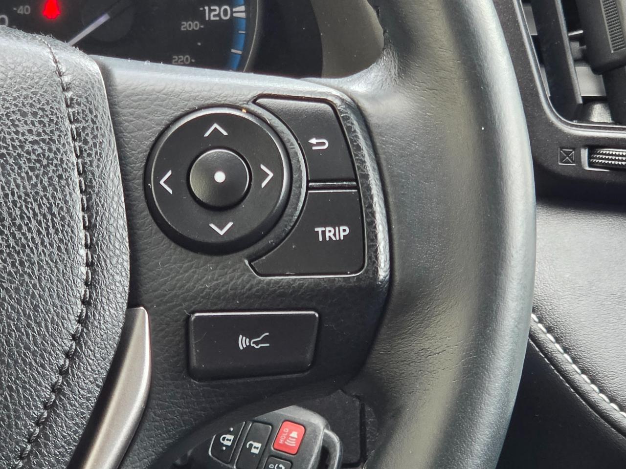 Toyota RAV4 XLE AWD (Natl) 2017