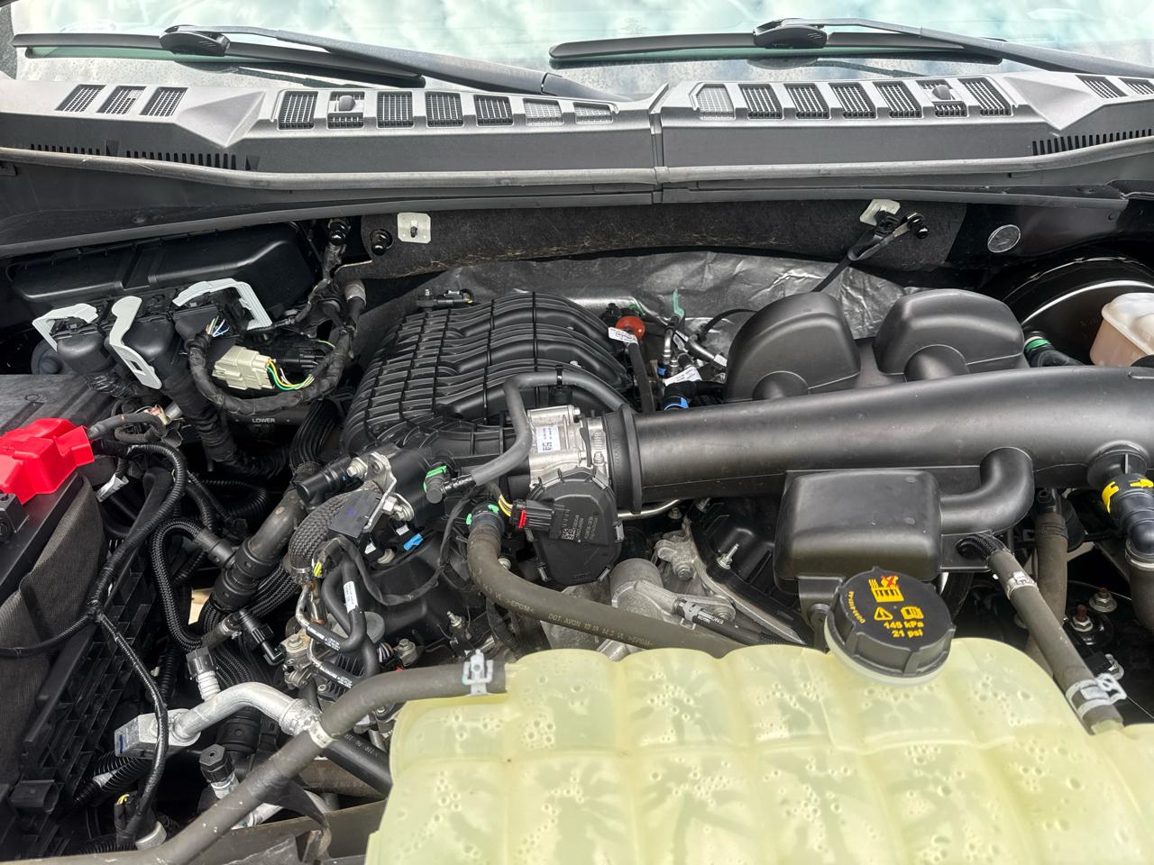 Ford F-150 XL 2WD Reg Cab 8' Box 2019