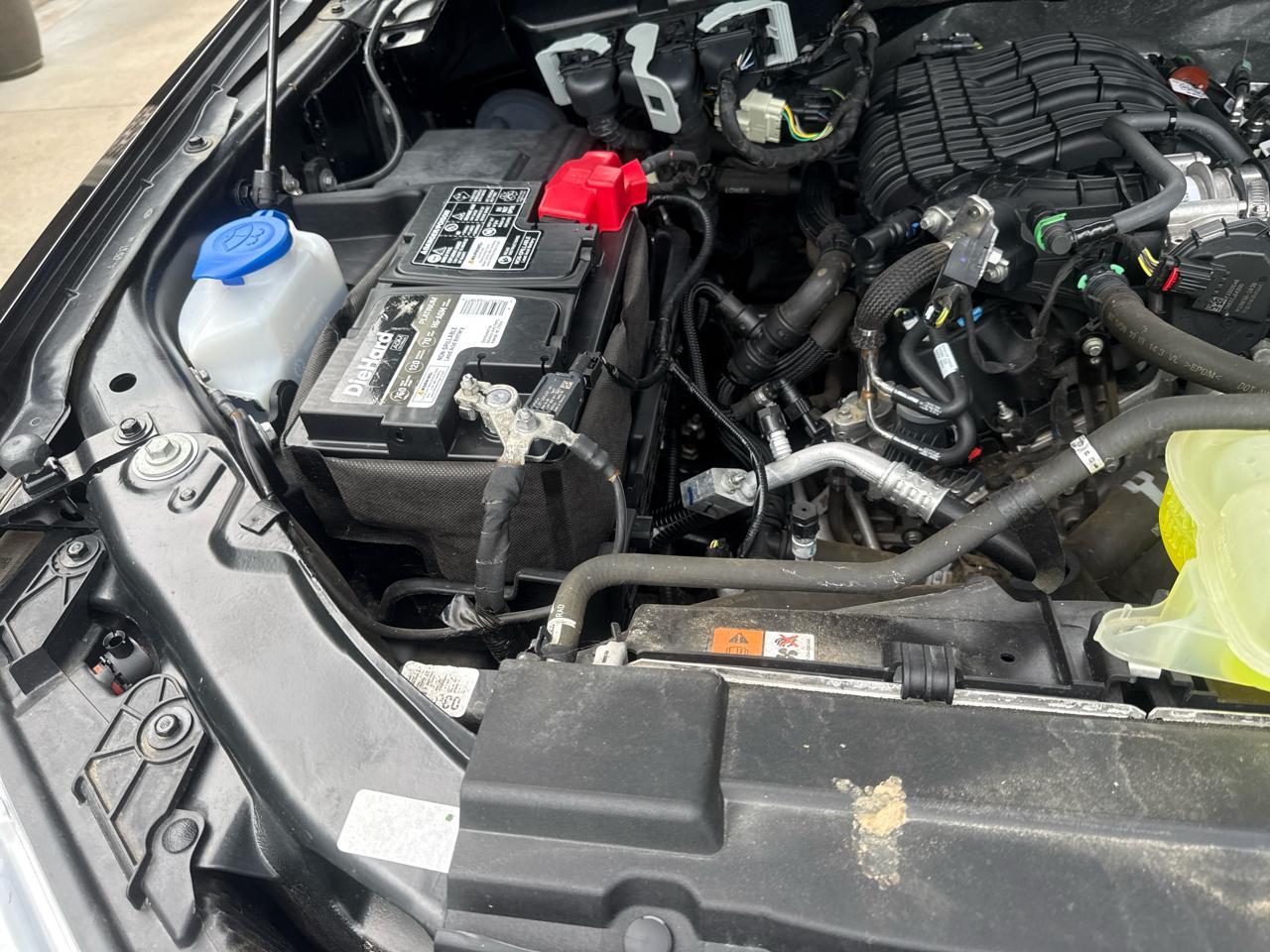 Ford F-150 XL 2WD Reg Cab 8' Box 2019