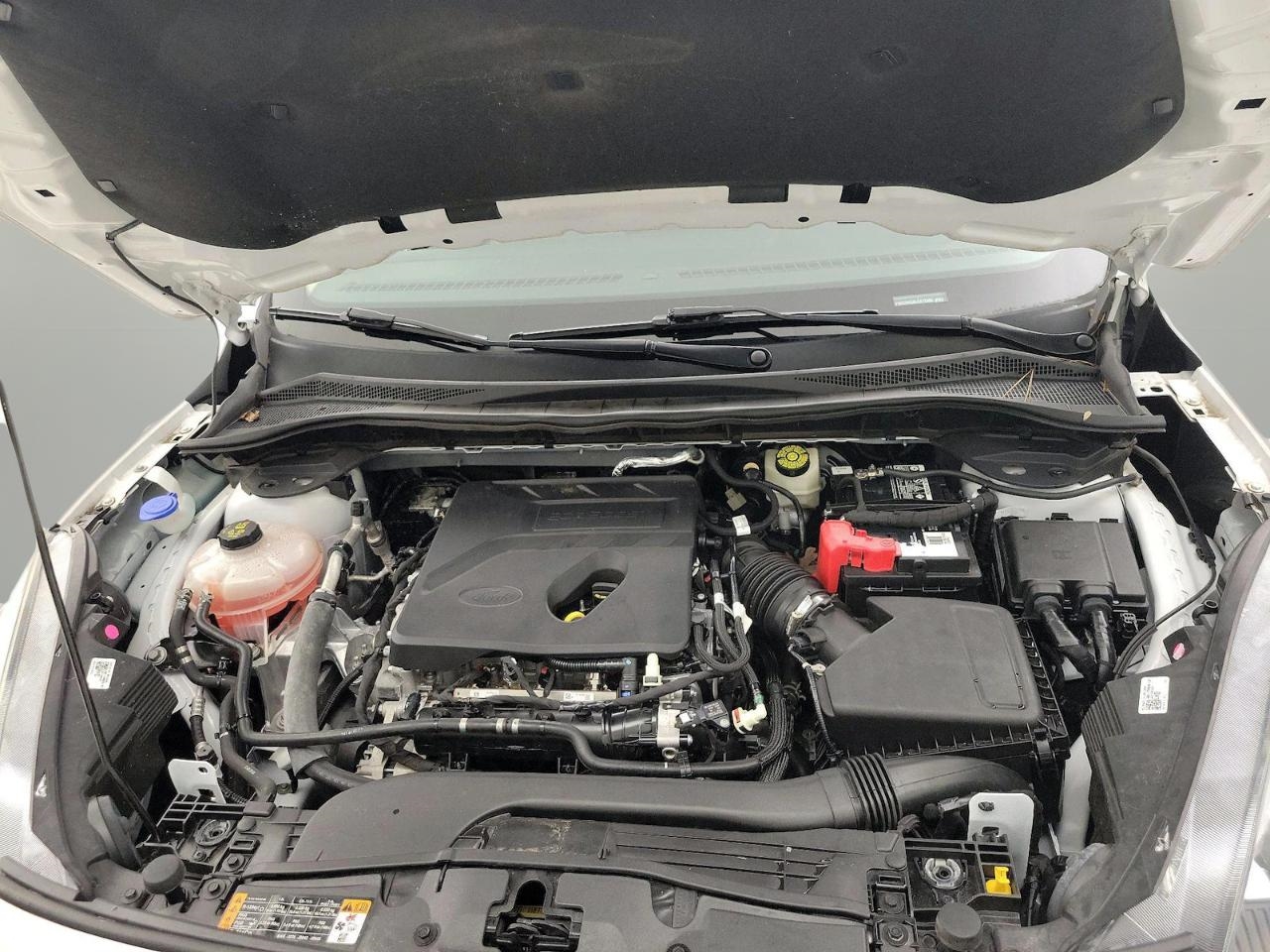 Ford Escape SE AWD 2020