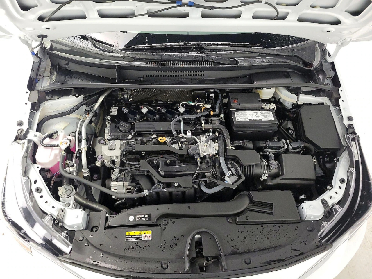 Toyota Corolla LE 2024