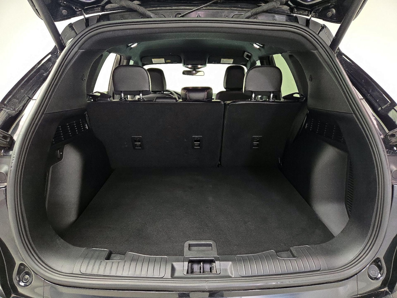 Ford Escape ST-Line 2024