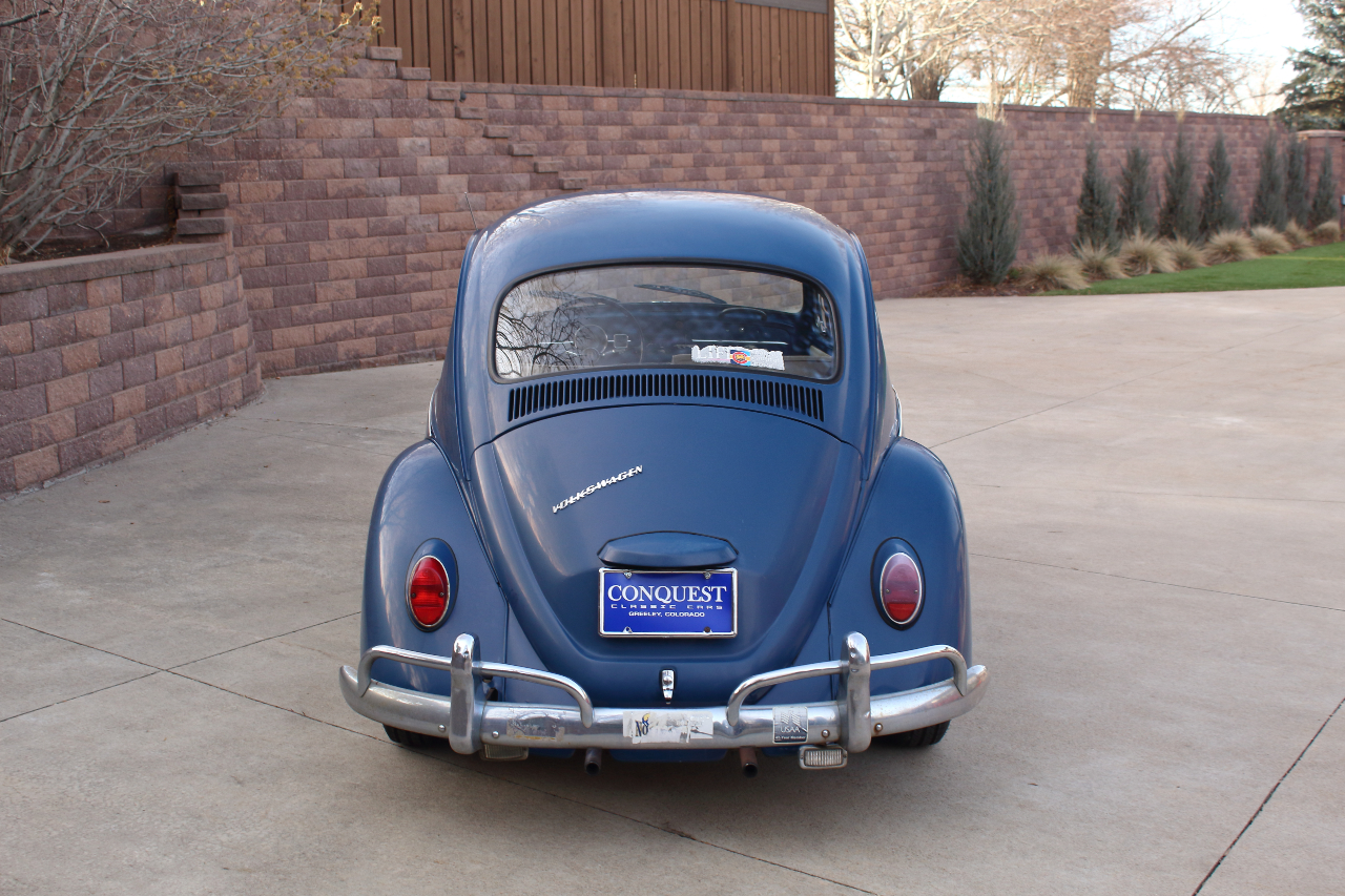 Volkswagen Beetle  1967