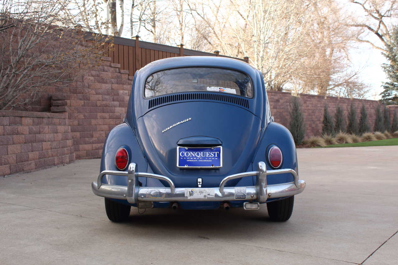 Volkswagen Beetle  1967