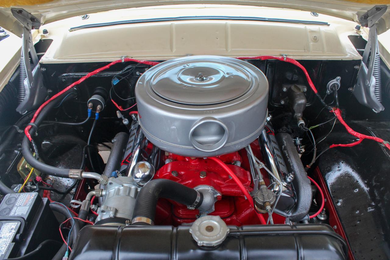 Ford Crown Victoria  1955