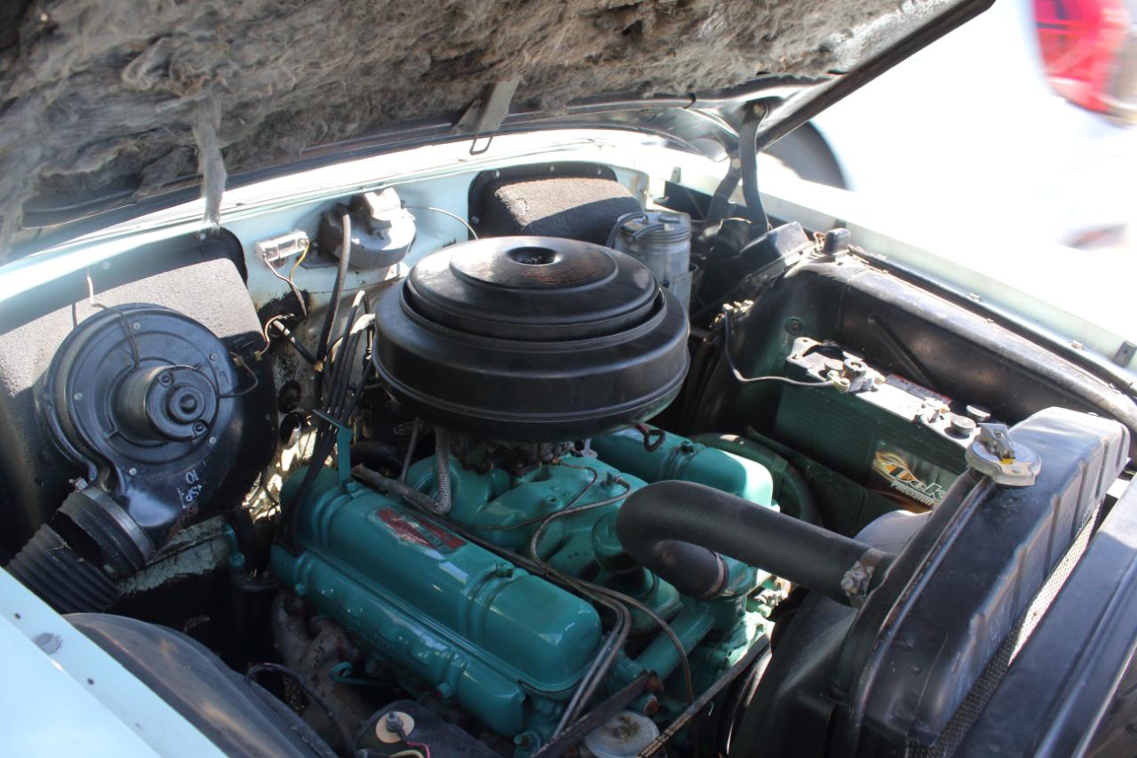 Buick Special  1954