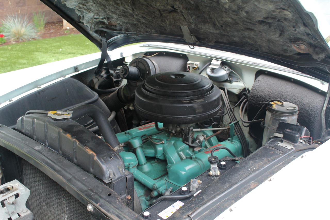 Buick Special  1954