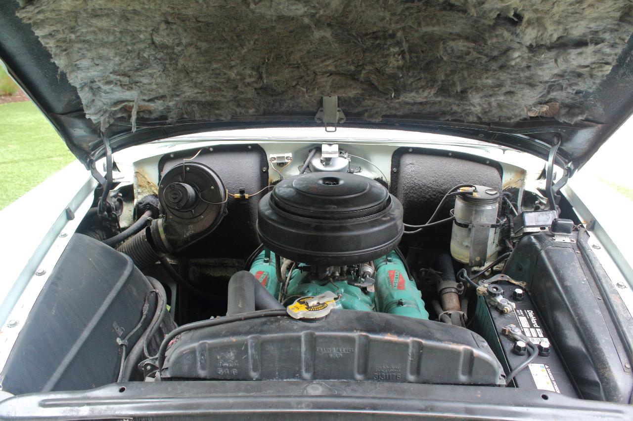 Buick Special  1954