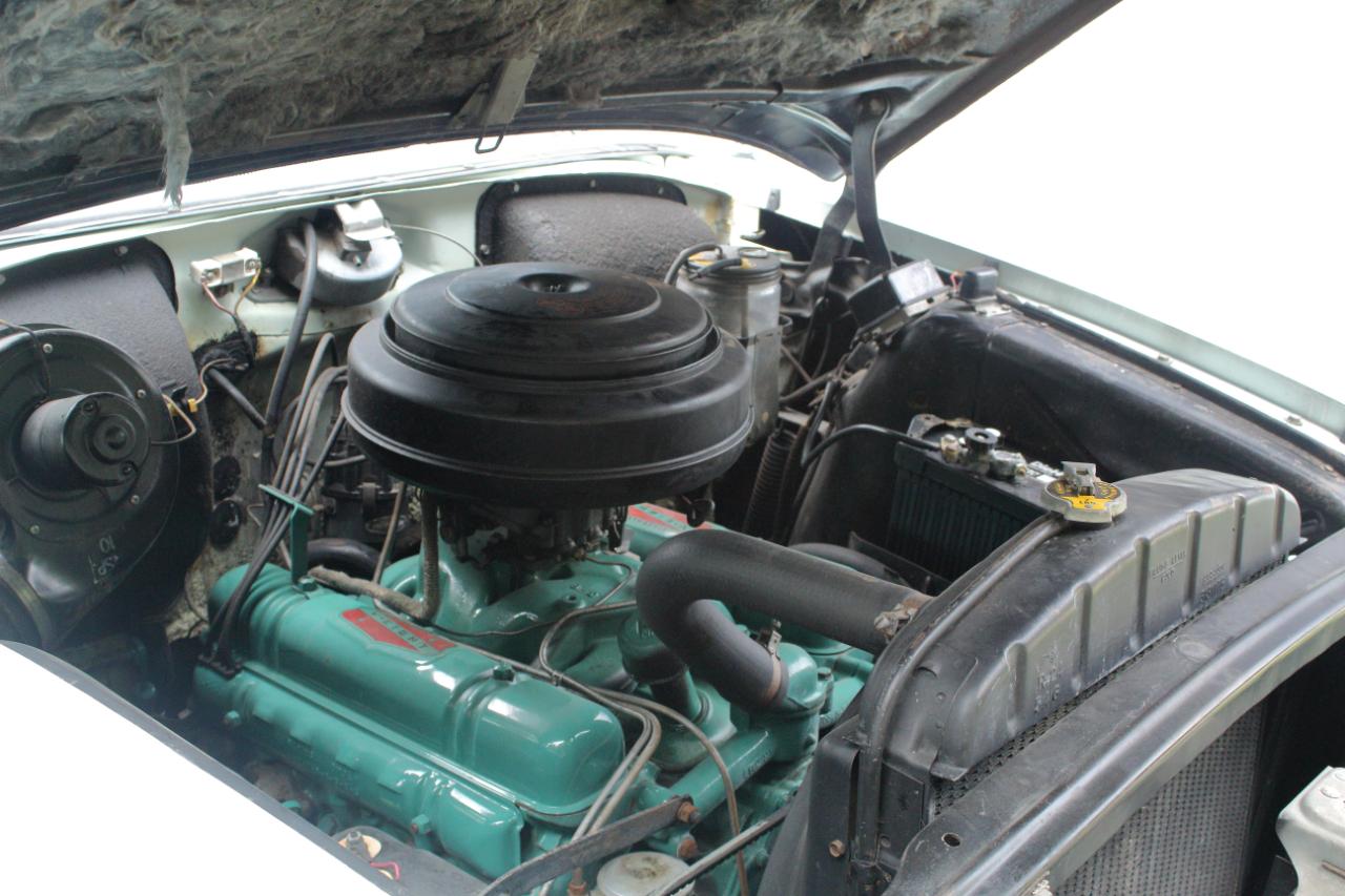 Buick Special  1954