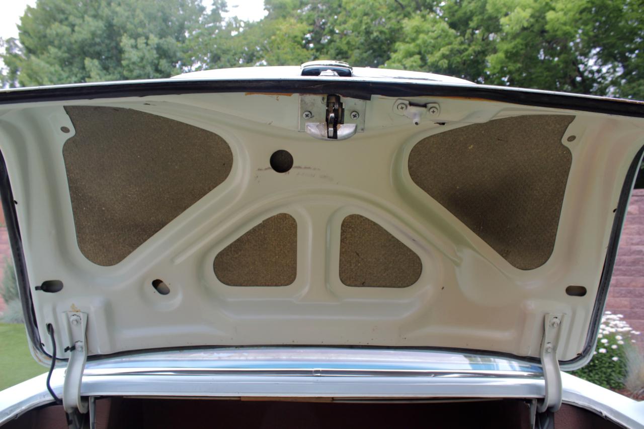Buick Special  1954