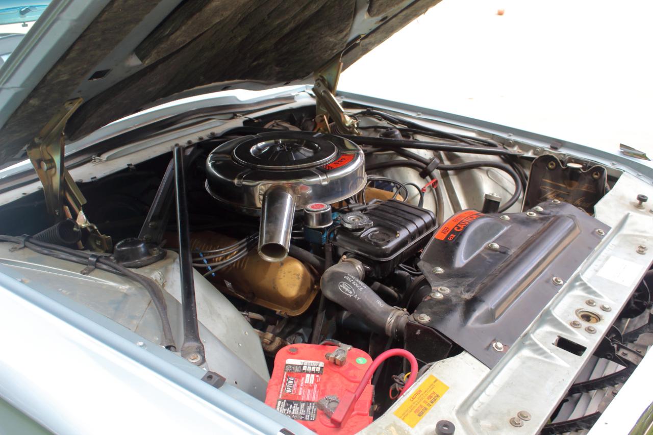 Ford Thunderbird  1964