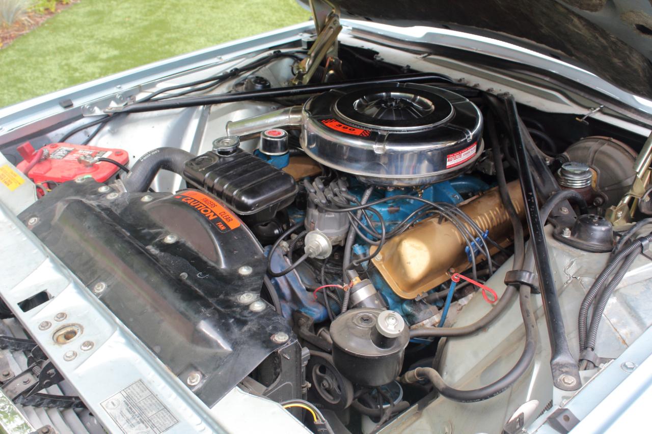 Ford Thunderbird  1964