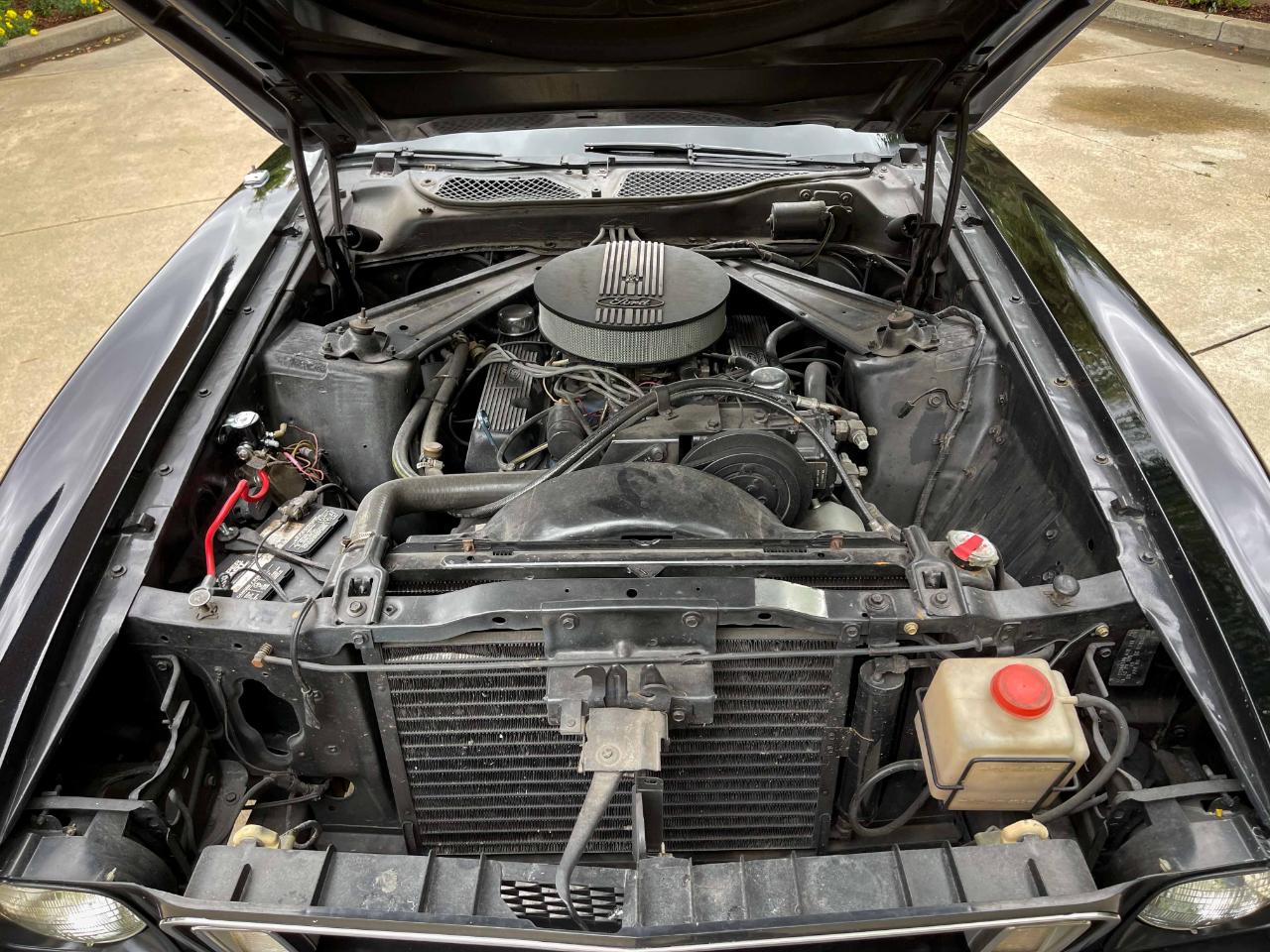 Ford Mustang  1973