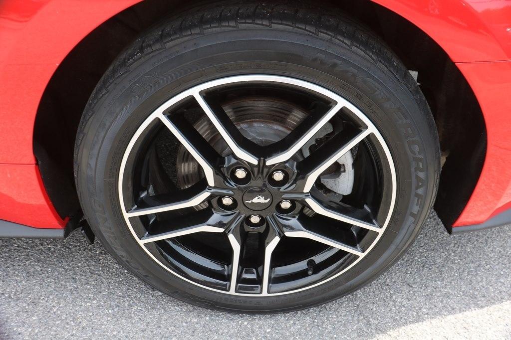 Ford Mustang EcoBoost Coupe 2022