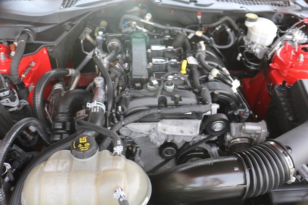 Ford Mustang EcoBoost Coupe 2022