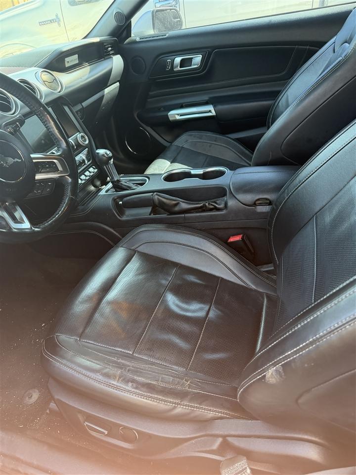 Ford Mustang EcoBoost Fastback 2018