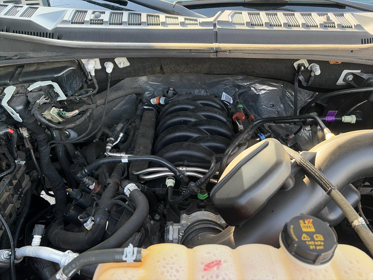 Ford F-150 4WD SuperCrew 139" XLT 2018