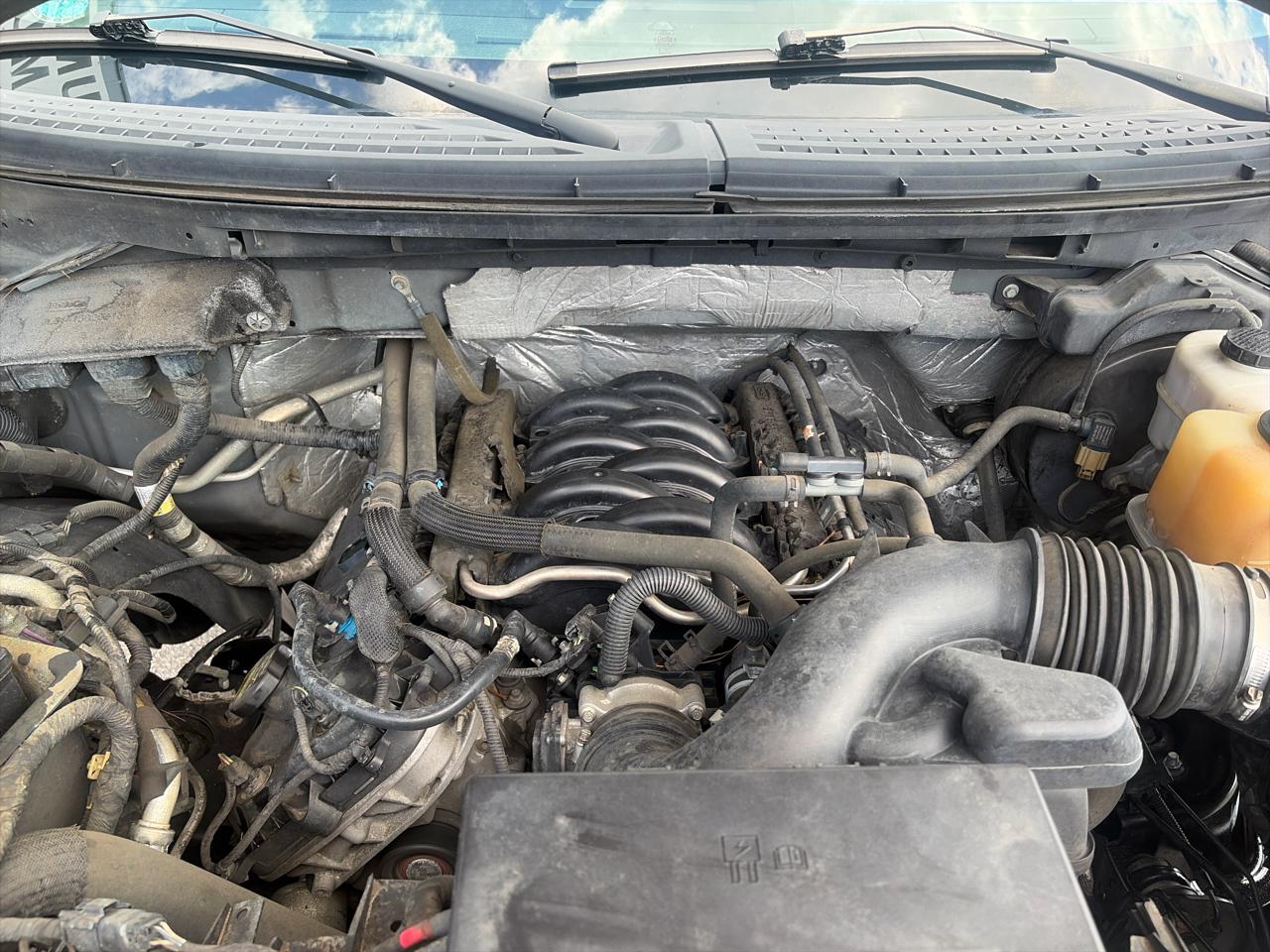 Ford F-150 4WD SuperCrew 139" XLT 2011