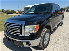 2010 Ford F-150 
