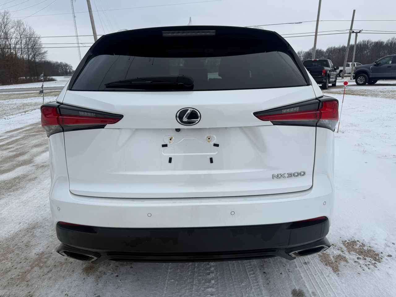 Lexus NX NX 300 AWD 2019