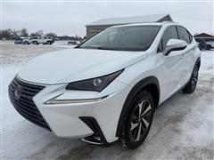 2019 Lexus NX 