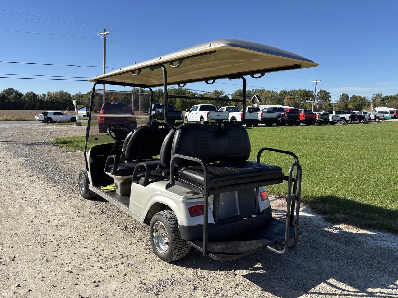 Star-EV Golf Cart  2008