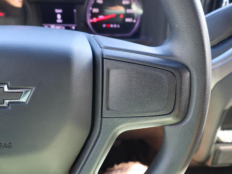 Chevrolet Silverado 1500 4WD Crew Cab 147" Custom Trail Boss 2022