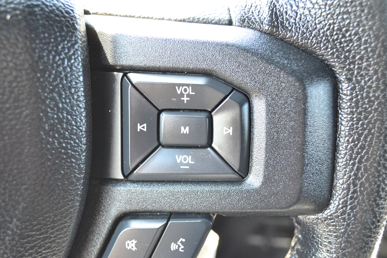 2016 Ford F-150 FX4 photo 29