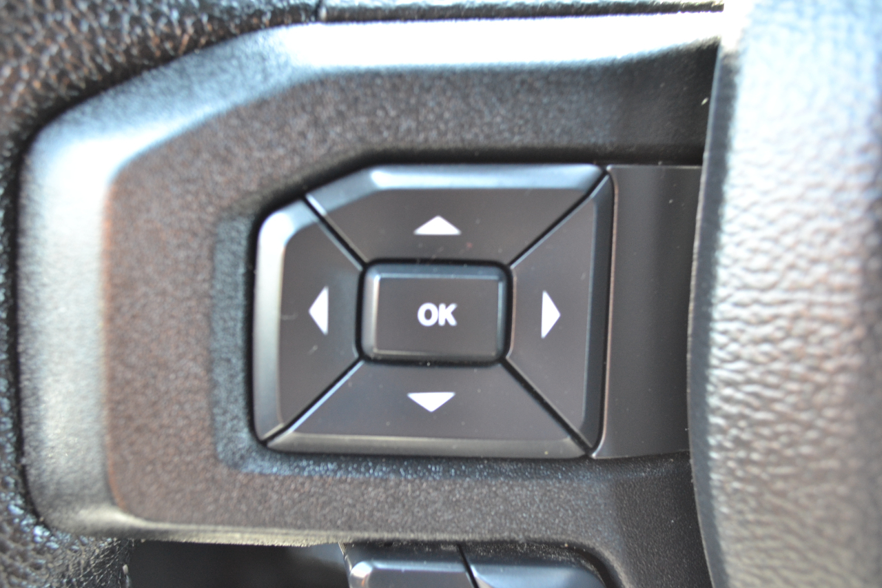2016 Ford F-150 FX4 photo 31