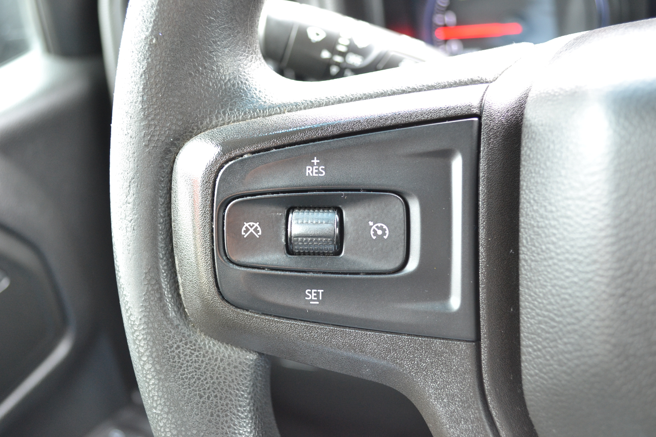 Chevrolet Silverado 1500 Custom Trail Boss Crew Cab Short Box 4WD 2020 Chevrolet Silverado 1500 Custom Trail Boss Crew Cab Short Box 4WD 2020