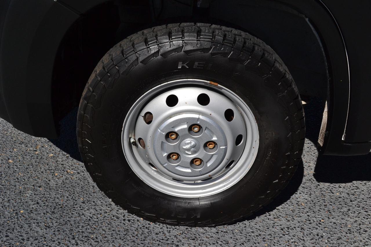 RAM Promaster 2500 Low Roof 2023