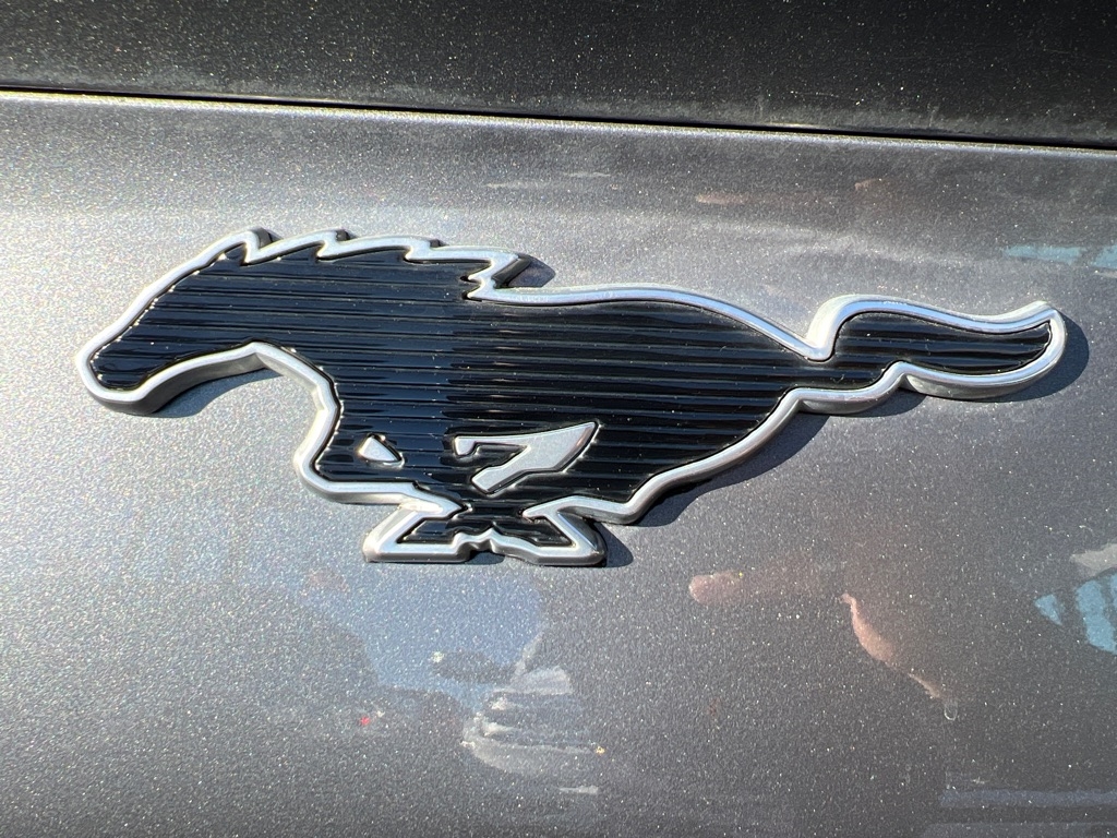 Ford Mustang Mach-E Premium RWD 2021