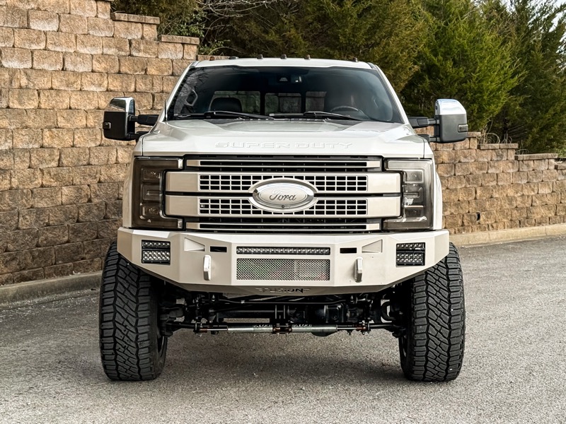 Ford F-250 SD Platinum Crew Cab 4WD 2017