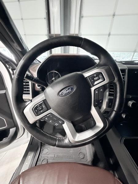 Ford F-250 SD Platinum Crew Cab 4WD 2020