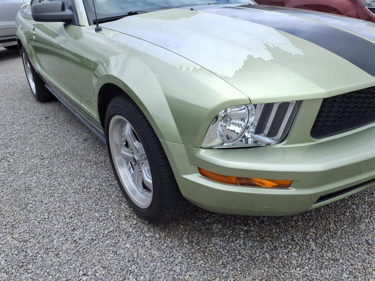 Ford Mustang 2dr Cpe Premium 2005