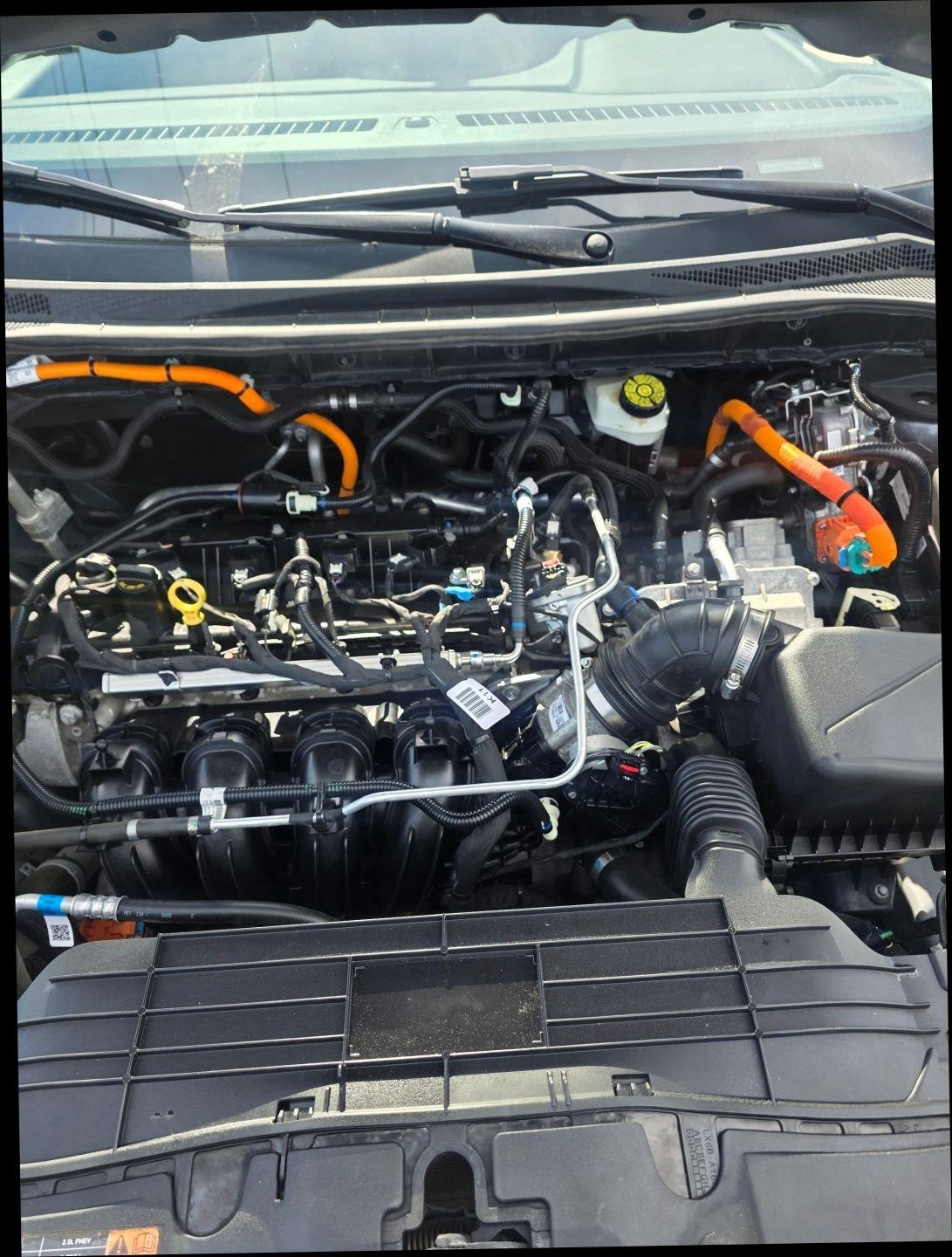 Ford Escape  2022