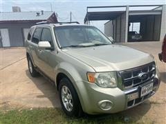 2010 Ford Escape 