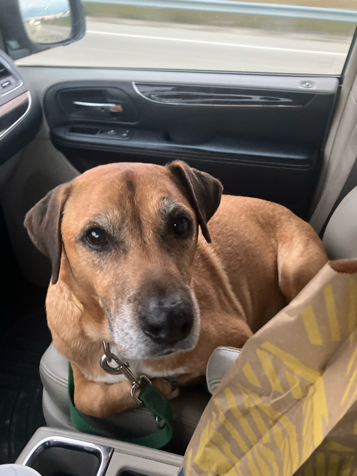 Subaru Forester 2.5i Premium PZEV CVT 2018 Subaru Forester 2.5i Premium PZEV CVT 2018