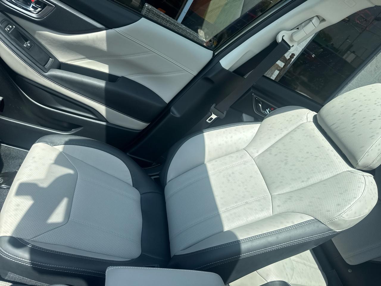 Subaru Forester Limited 2024
